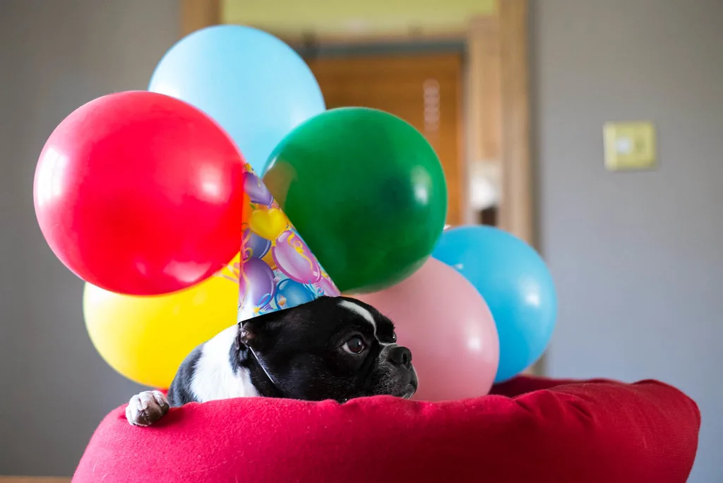 Birthday personalized image template