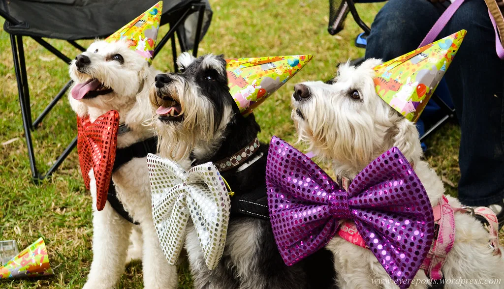 Children celebrating at a birthday party