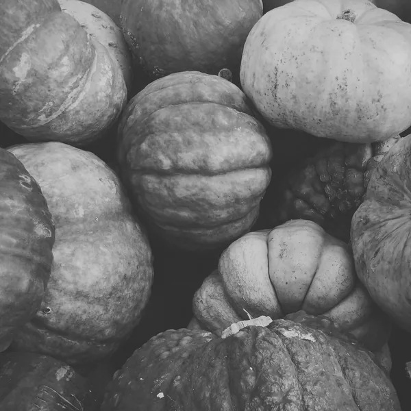 Pumpkins and gourds for harvest decor